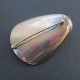 Silver Georg Jensen Brooch by Ditzel