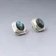  Labradorite and Silver Earrings