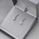 Crystal Silver Drop Earrings