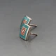 LCC Enamel Stud Earrings