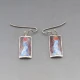 Enamel and Silver LCC Drop Earrings
